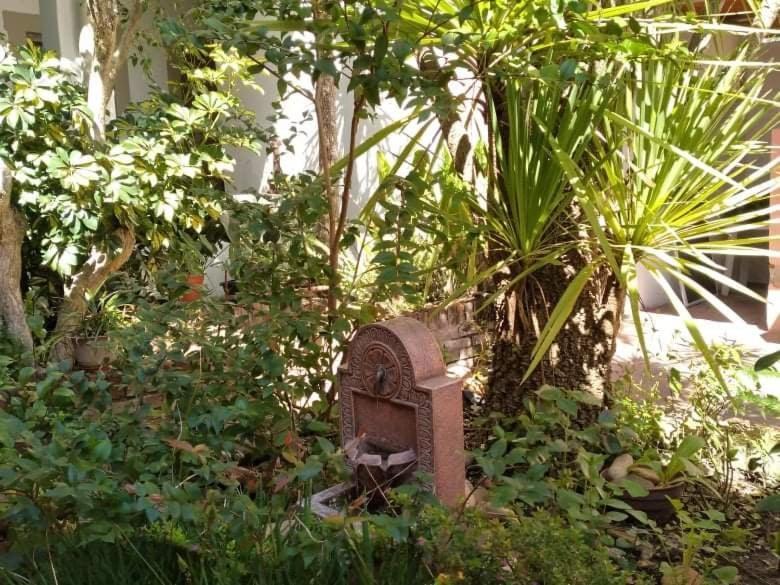 Hosteria Uruguay Piriápolis Екстериор снимка