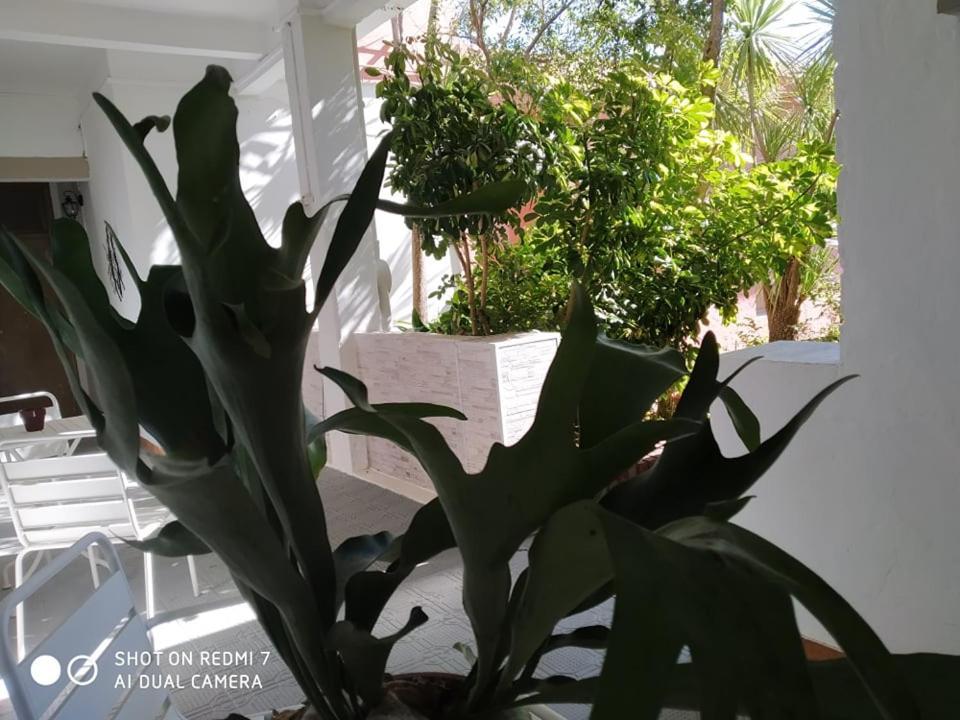 Hosteria Uruguay Piriápolis Екстериор снимка