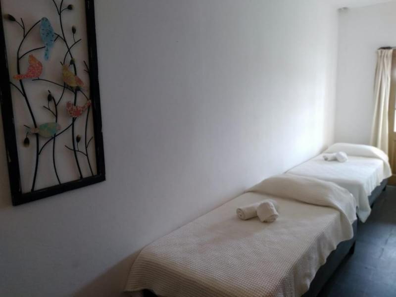 Hosteria Uruguay Piriápolis Екстериор снимка